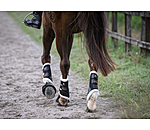 Gu�tres techniques pour ant�rieurs  Ceramic Rehab