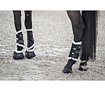 Gu�tres techniques pour ant�rieurs  Ceramic Rehab