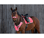 Tapis de selle rflchissant  Neon Bright