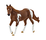Jument Paint Horse