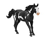 Hongre Paint Horse