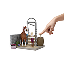 Box de lavage pour chevaux Sofia