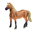 BWP (Cheval de sang belge)  Play series