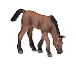 Poulain broutant  Play series