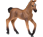 Poulain holstein  Play series