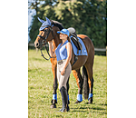 Polo technique  Luise II