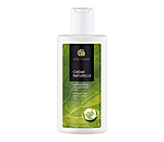 Lotion entretien du cuir  Crme Naturelle