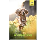 Bon cadeau  imprimer