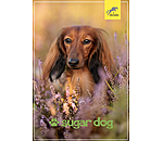 Bon cadeau � imprimer