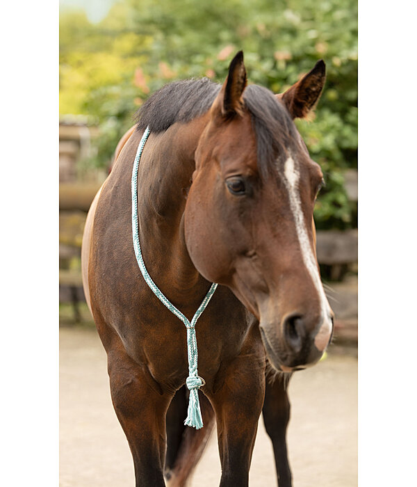 Cordelette en coton  Tapeka