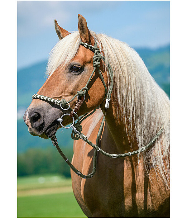 Licol de randonn�e 3 en 1