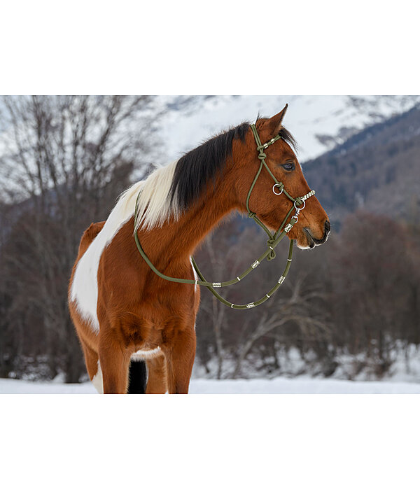 Licol de randonn�e 3 en 1