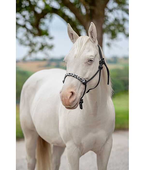 Licol � noeud  Beaded