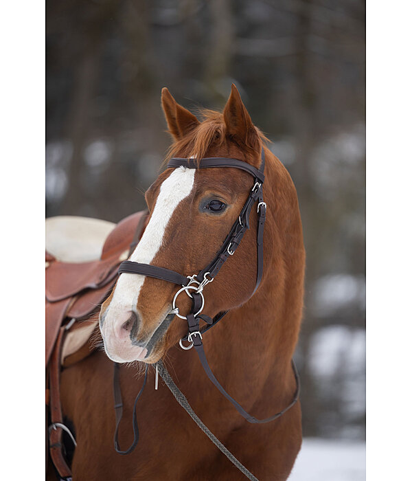 Bridon de randonn�e  Nevada