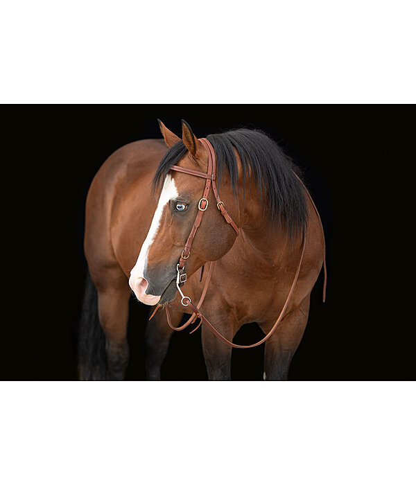 Bridon de travail western  Buckle End