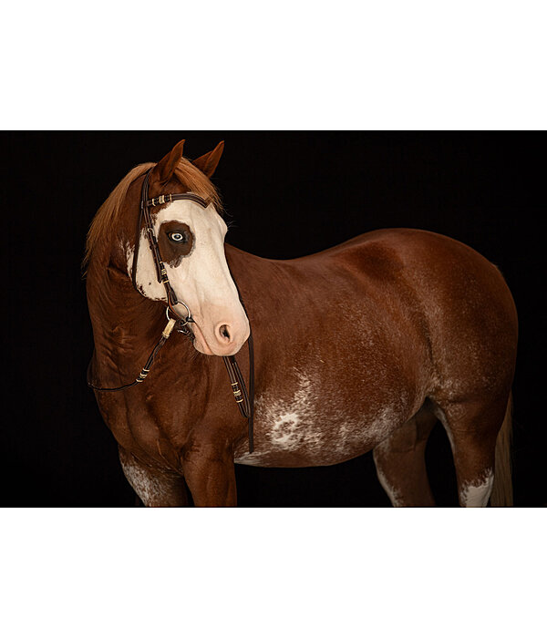 Bridon western  Rawhide