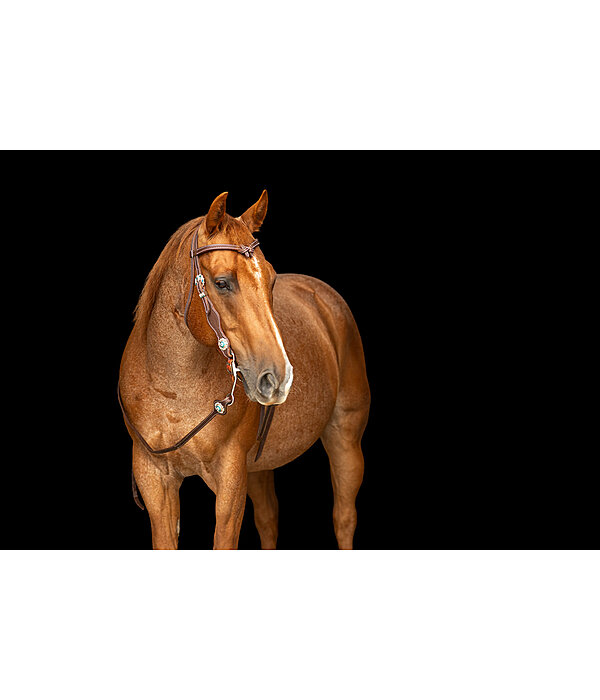 T�ti�re  Crystal Dream