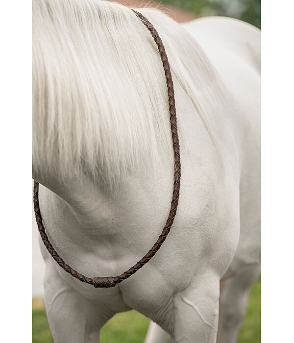 Collier en cuir  Premium