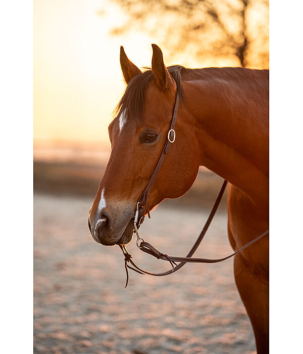 Bridon d'entranement une oreille en cuir Harness
