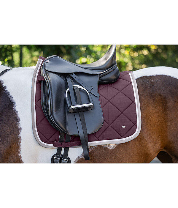 Tapis de selle  Primary