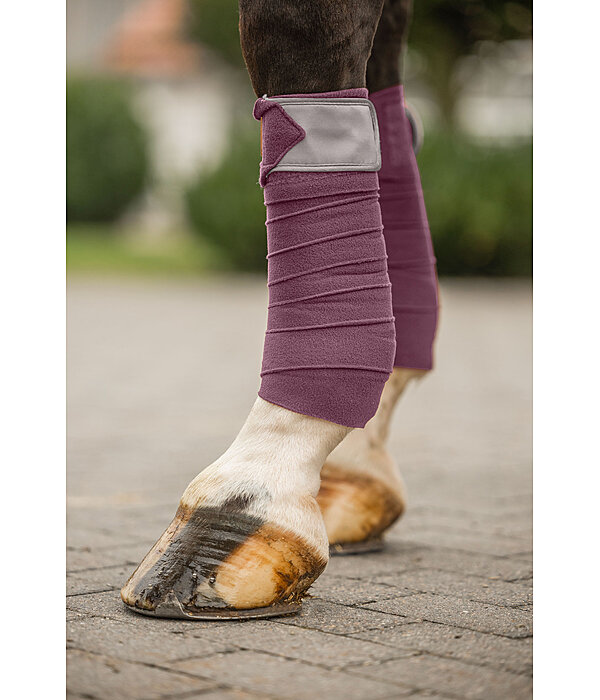 Bandes polaire  Swiss Design