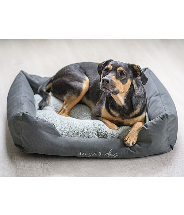 Panier pour chiens  Dreamy
