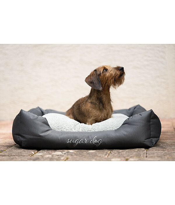 Panier pour chiens  Dreamy