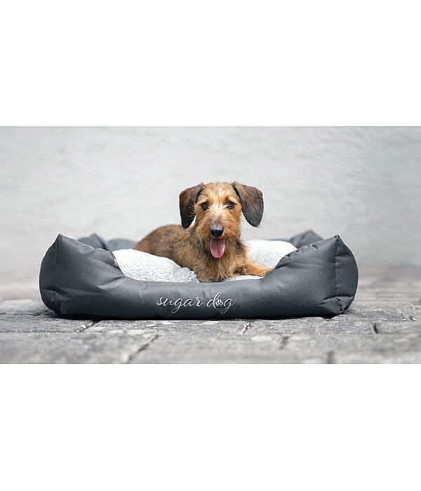 Panier pour chiens  Dreamy