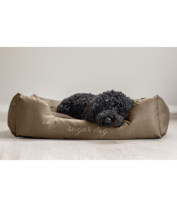 Panier pour chiens  Dreamy