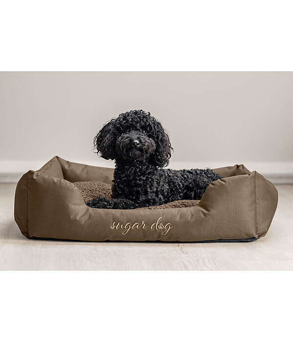 Panier pour chiens  Dreamy