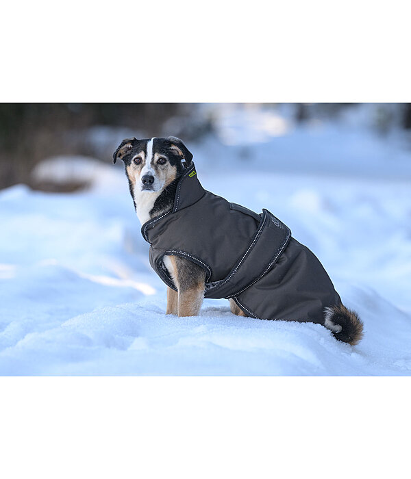 Manteau pour chiens avec doublure polaire  Eddie 200 g