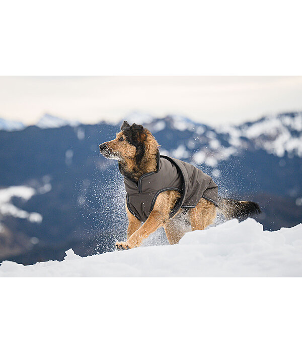 Manteau pour chiens avec doublure polaire  Eddie 200 g