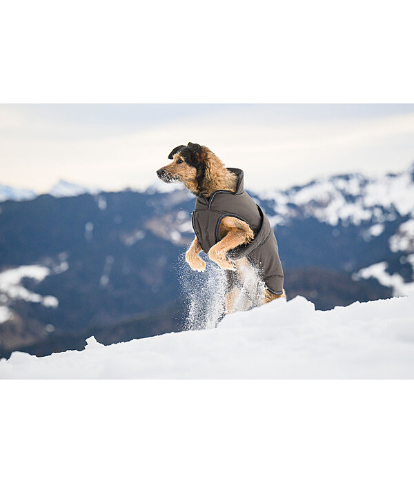 Manteau pour chiens avec doublure polaire  Eddie 200 g