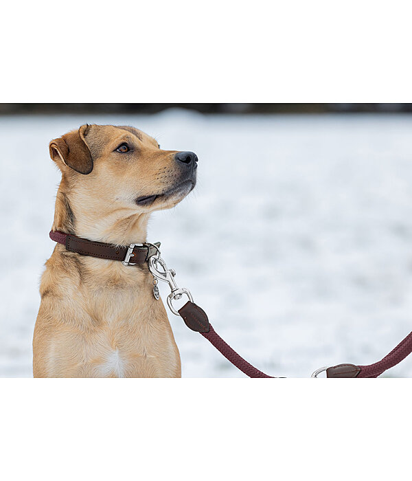 Collier pour chiens  Nature Rope