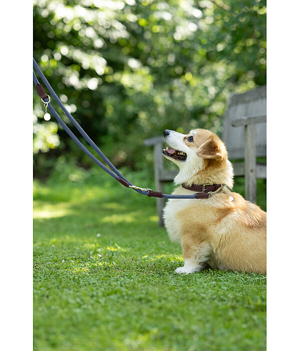 Collier pour chiens  Rope