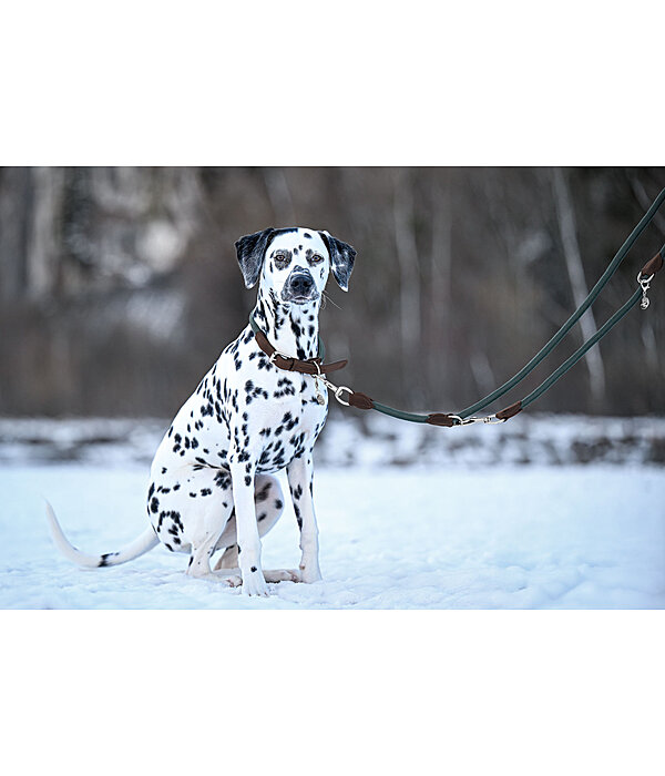 Laisse pour chiens  Rope