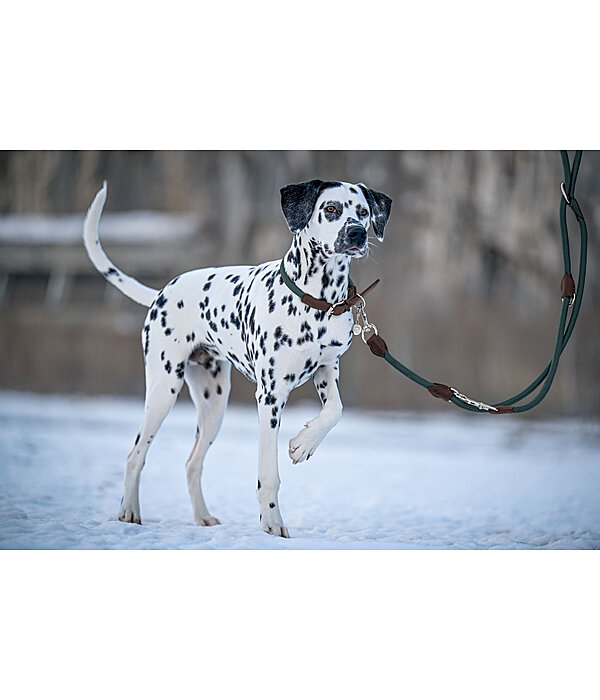 Laisse pour chiens  Rope