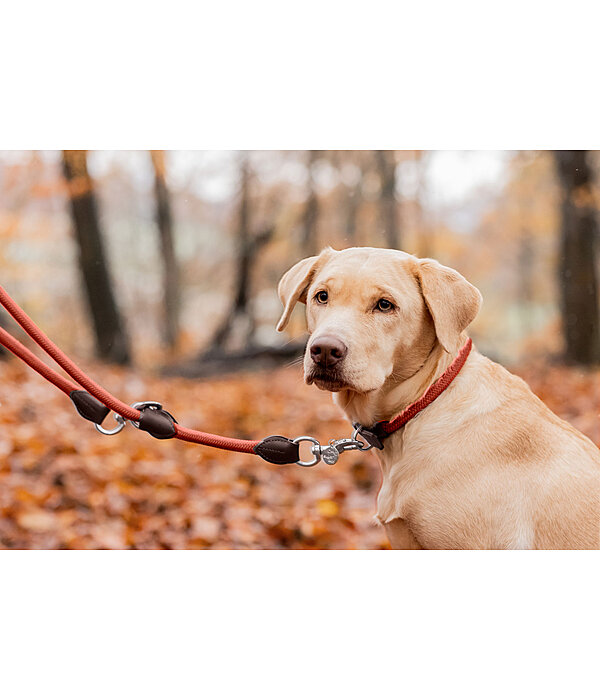 Laisse pour chiens  Nature Rope