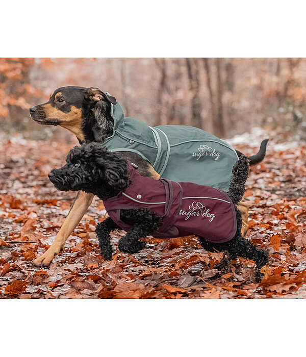 Manteau pour chien 2 en 1  Ally