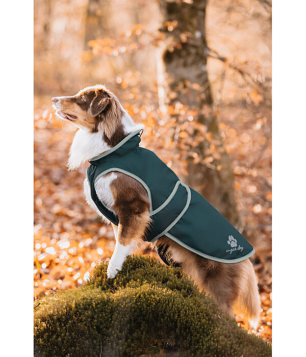 Manteau de pluie pour chiens  Eldoro II avec manteau intrieur polaire