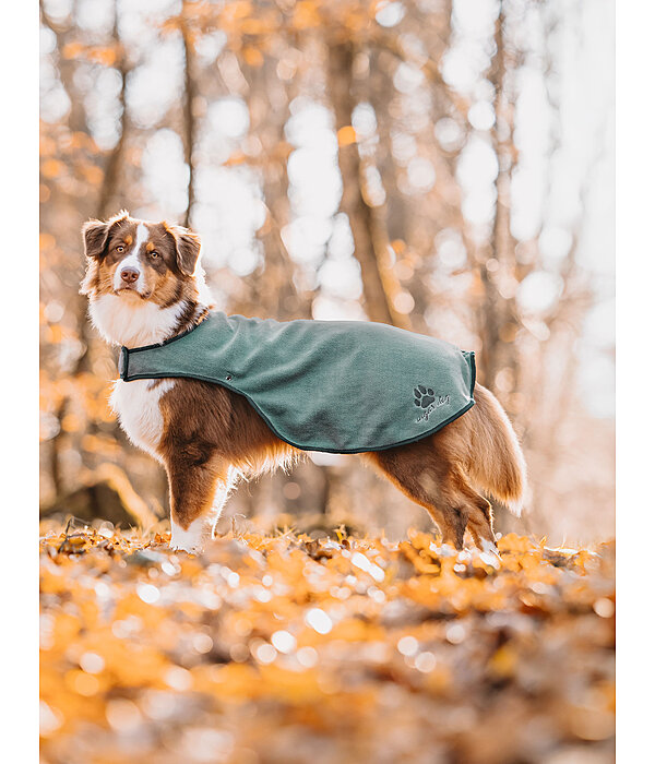 Manteau de pluie pour chiens  Eldoro II avec manteau intrieur polaire