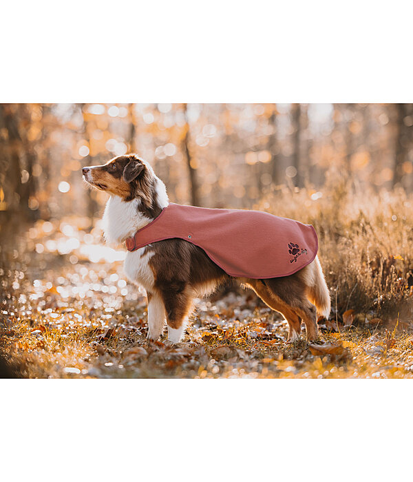 Manteau de pluie pour chiens  Eldoro II avec manteau intrieur polaire