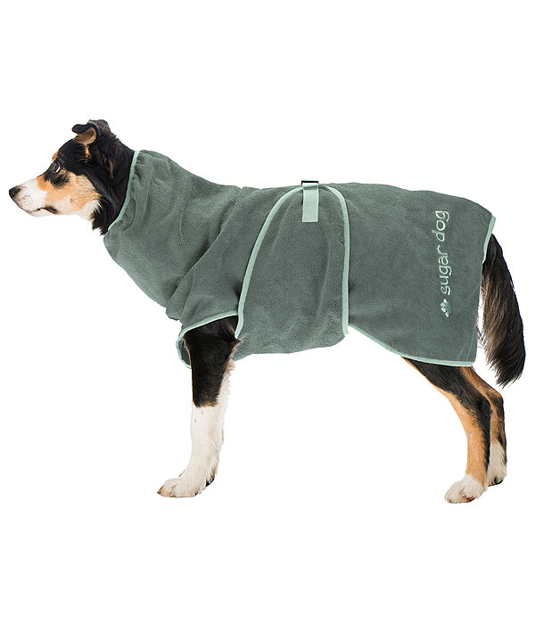 Chemise schante  Dry Dog II