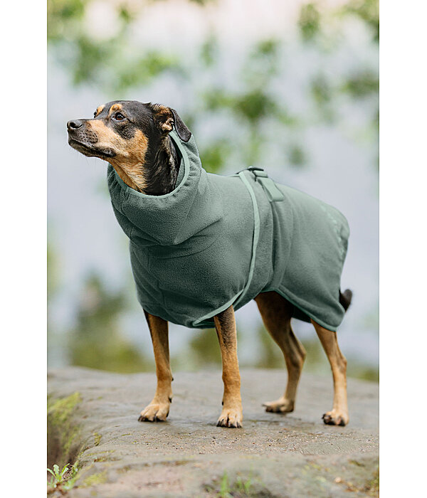Chemise schante  Dry Dog II