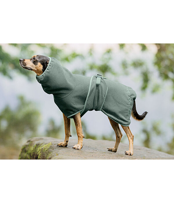Chemise schante  Dry Dog II