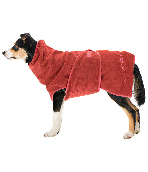Chemise schante  Dry Dog II