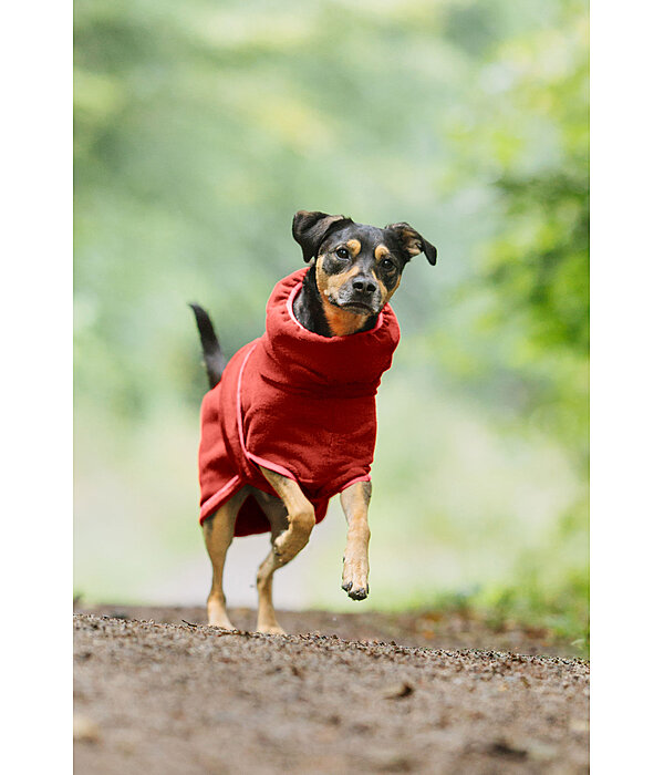 Chemise schante  Dry Dog II