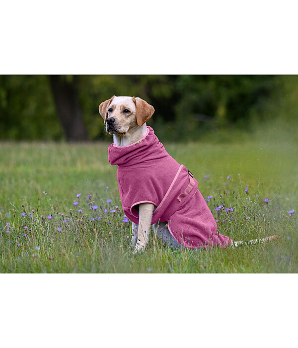 Chemise s�chante  Dry Dog II