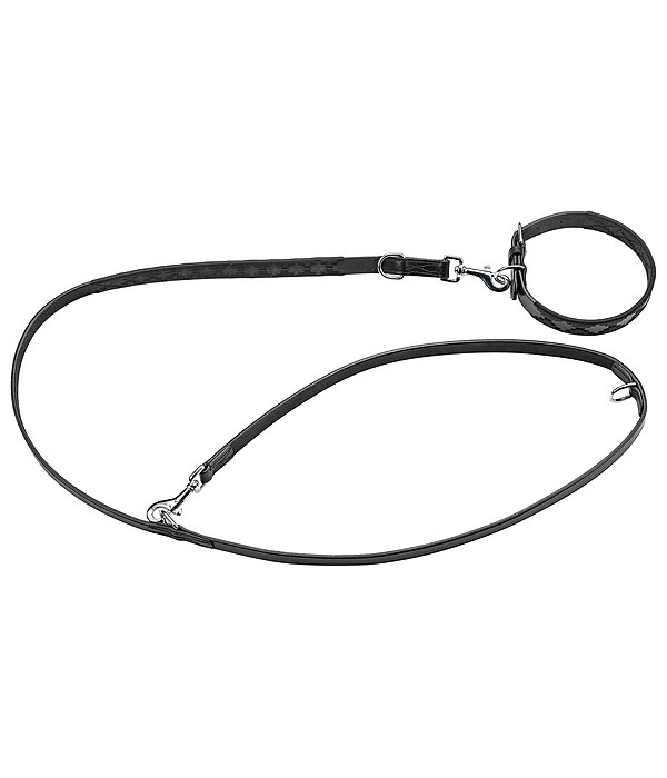 Set collier et laisse en cuir pour chiens  Polo Sports