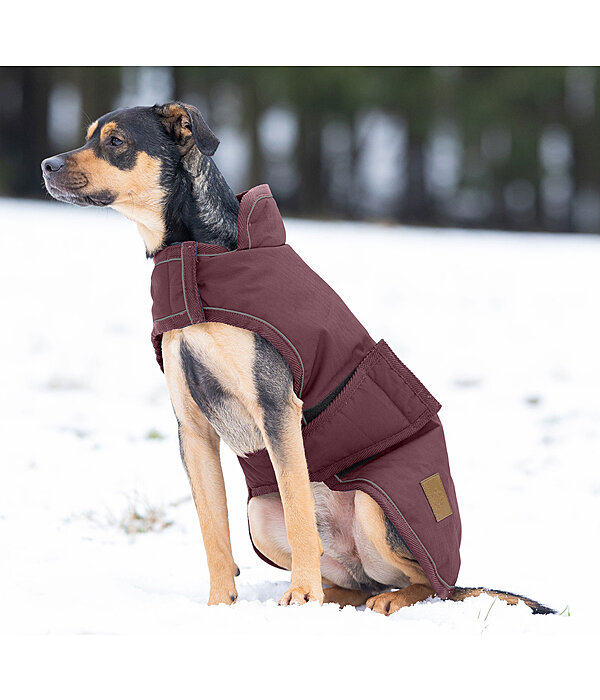Manteau d'hiver pour chiens  Beaver Creek, 400 g